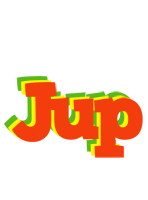 Jup bbq logo