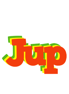 Jup bbq logo