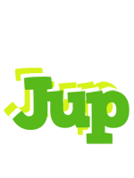 Jup picnic logo