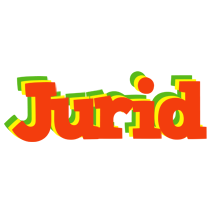 Jurid bbq logo