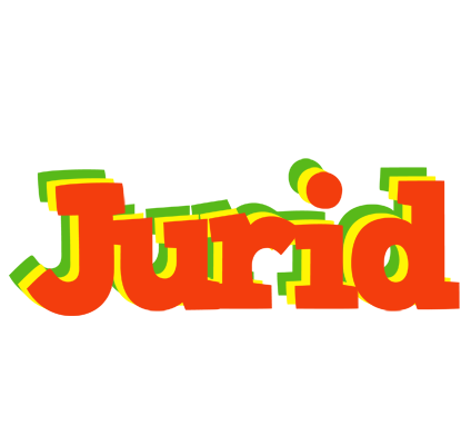 Jurid bbq logo