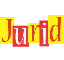 Jurid errors logo