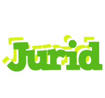 Jurid picnic logo