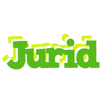 Jurid picnic logo