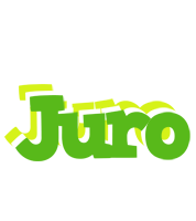 Juro picnic logo