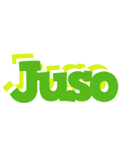 Juso picnic logo