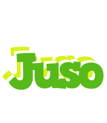 Juso picnic logo