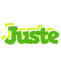 Juste picnic logo