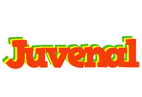 Juvenal bbq logo