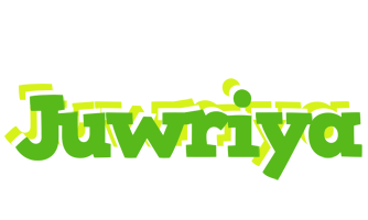 Juwriya picnic logo