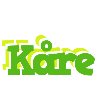 Kåre picnic logo