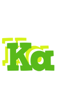 Ka picnic logo