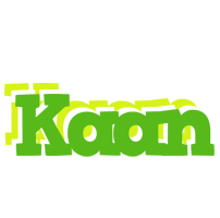 Kaan picnic logo