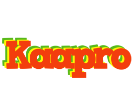 Kaapro bbq logo