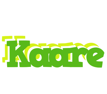 Kaare picnic logo