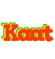 Kaat bbq logo