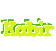 Kabir citrus logo