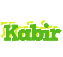 Kabir picnic logo