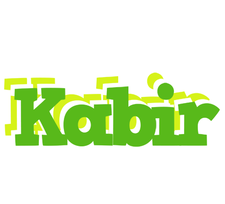 Kabir picnic logo