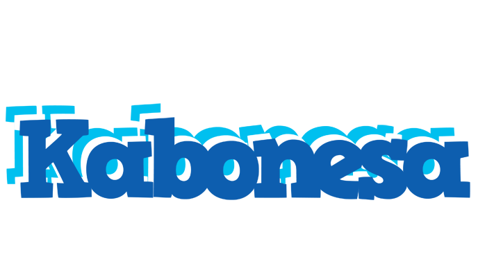 Kabonesa business logo