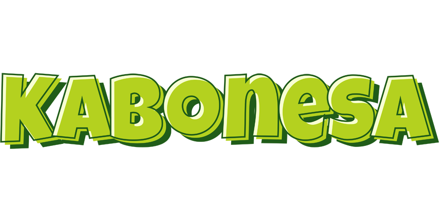 Kabonesa summer logo