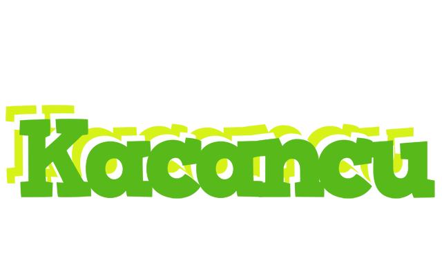 Kacancu picnic logo
