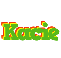 Kacie crocodile logo