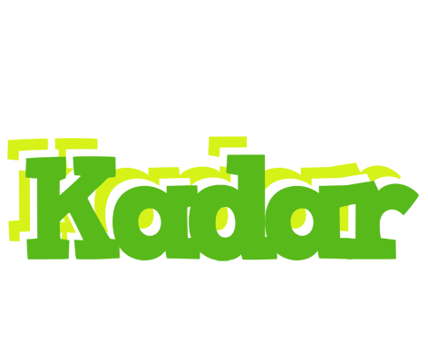 Kadar picnic logo