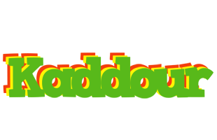 Kaddour crocodile logo
