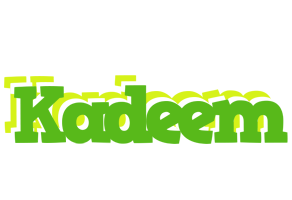 Kadeem picnic logo