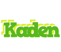 Kaden picnic logo