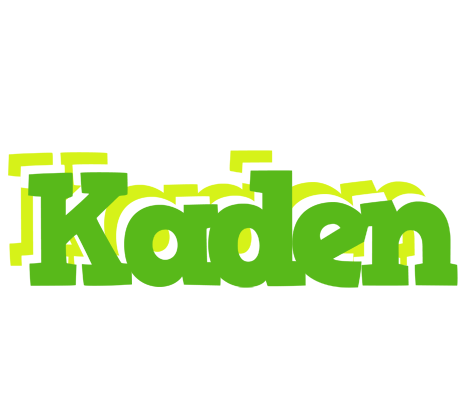 Kaden picnic logo
