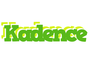 Kadence picnic logo