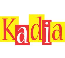 Kadia errors logo