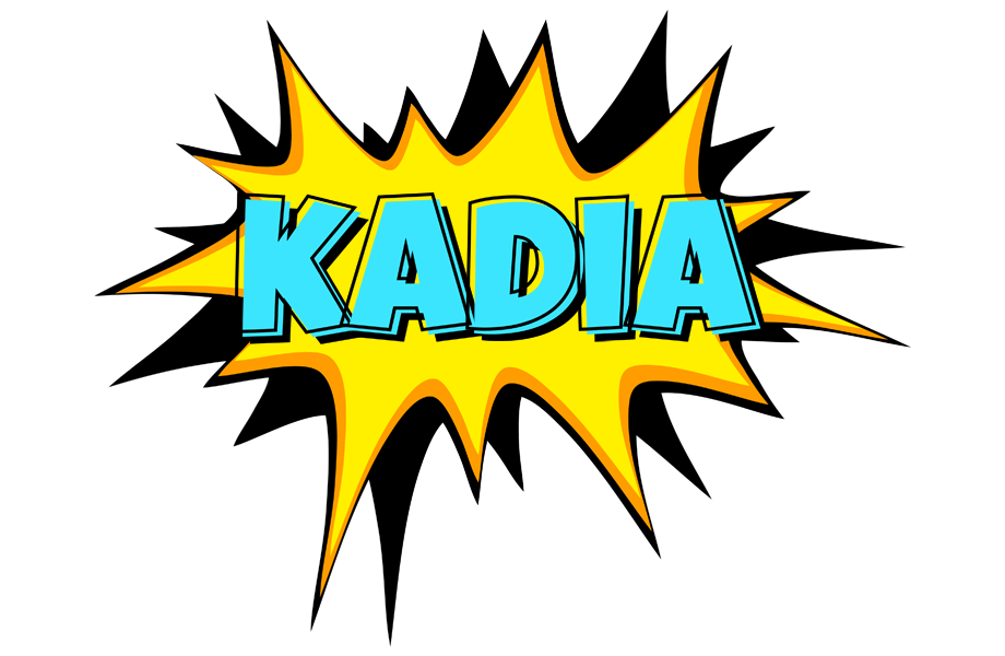 Kadia indycar logo