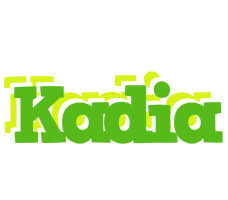 Kadia picnic logo