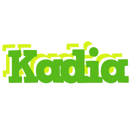 Kadia picnic logo