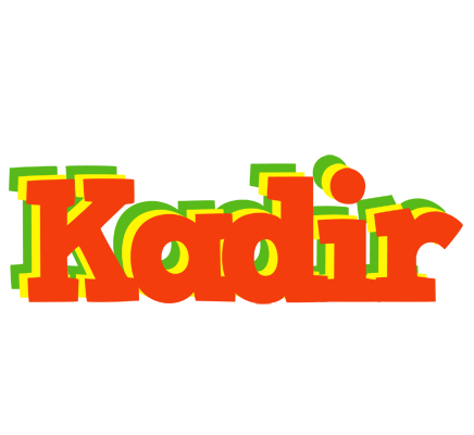 Kadir bbq logo