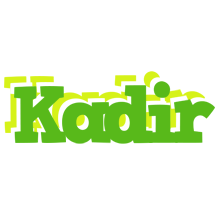 Kadir picnic logo