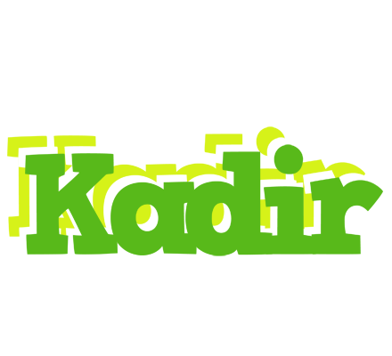 Kadir picnic logo