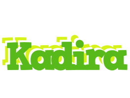 Kadira picnic logo