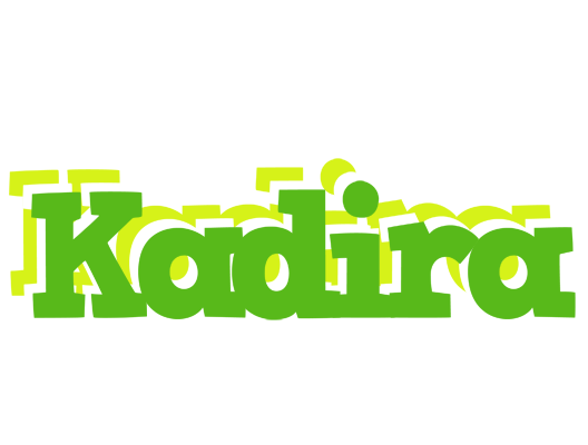 Kadira picnic logo