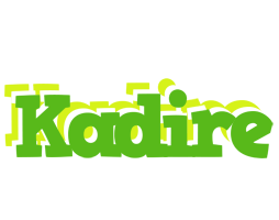 Kadire picnic logo