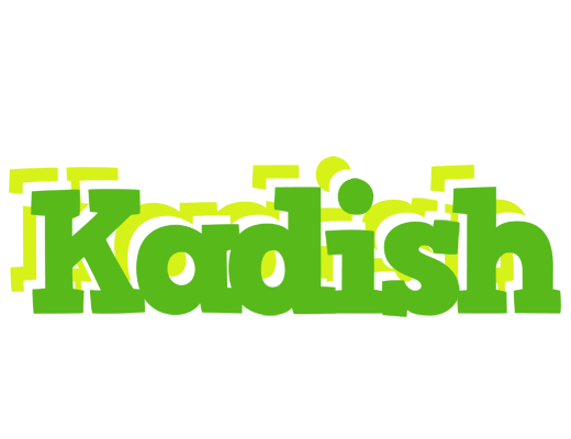 Kadish picnic logo
