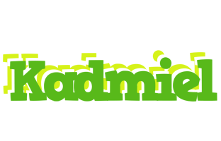 Kadmiel picnic logo