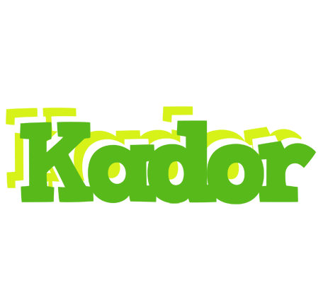 Kador picnic logo