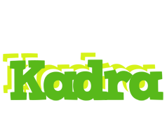 Kadra picnic logo