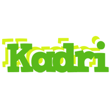 Kadri picnic logo