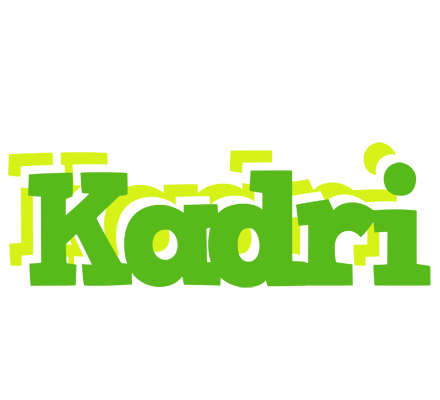 Kadri picnic logo
