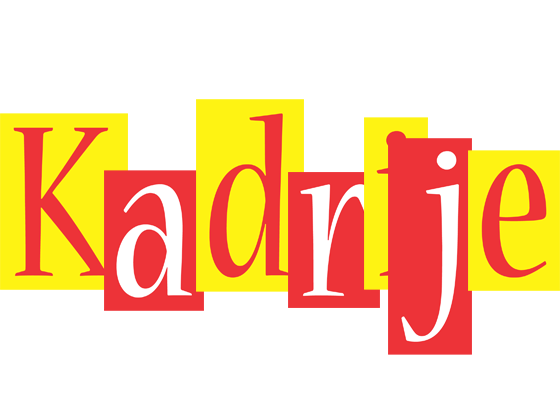 Kadrije errors logo